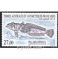 nr. 145 -  Stamp French Southern Territories Air Mail