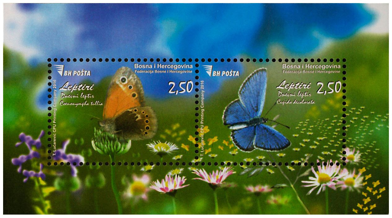 n° 56 - Timbre BOSNIE-HERZEGOVINE Blocs et feuillets n° 56 - Timbre BOSNIE-HERZEGOVINE Blocs et feuillets