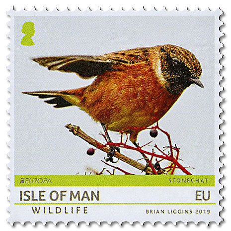 n° 2488 - Timbre ILE DE MAN Poste (EUROPA) n° 2488 - Timbre ILE DE MAN Poste (EUROPA)
