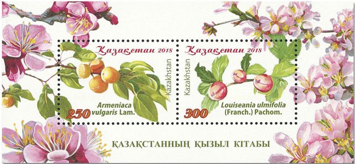 n° 112 - Timbre KAZAKHSTAN Blocs et feuillets n° 112 - Timbre KAZAKHSTAN Blocs et feuillets