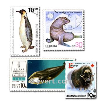 ANIMAIS POLARES: lote de 100 selos