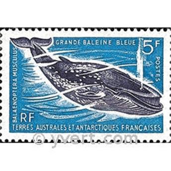 nr. 22 -  Stamp French Southern Territories Mail