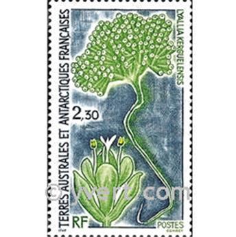 nr. 175 -  Stamp French Southern Territories Mail